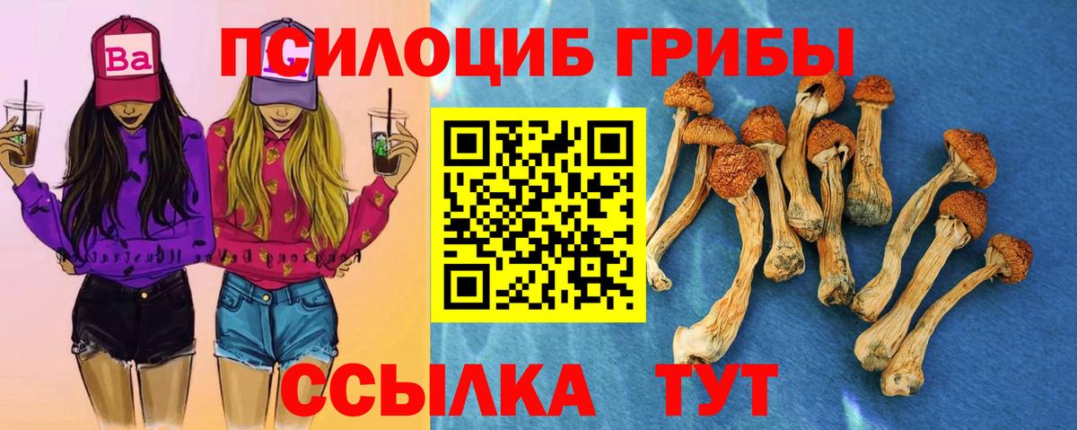 Псилоцибиновые грибы Psilocybe Надым