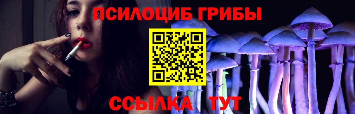 Псилоцибиновые грибы мицелий  Вход с VPN  Надым 
